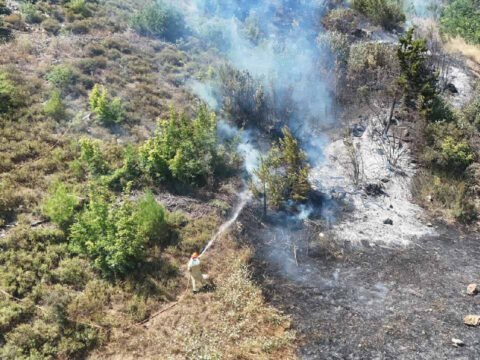 Son dakika adanada orman yangini kabusu ekipler seferber oldu HiOTKyjF